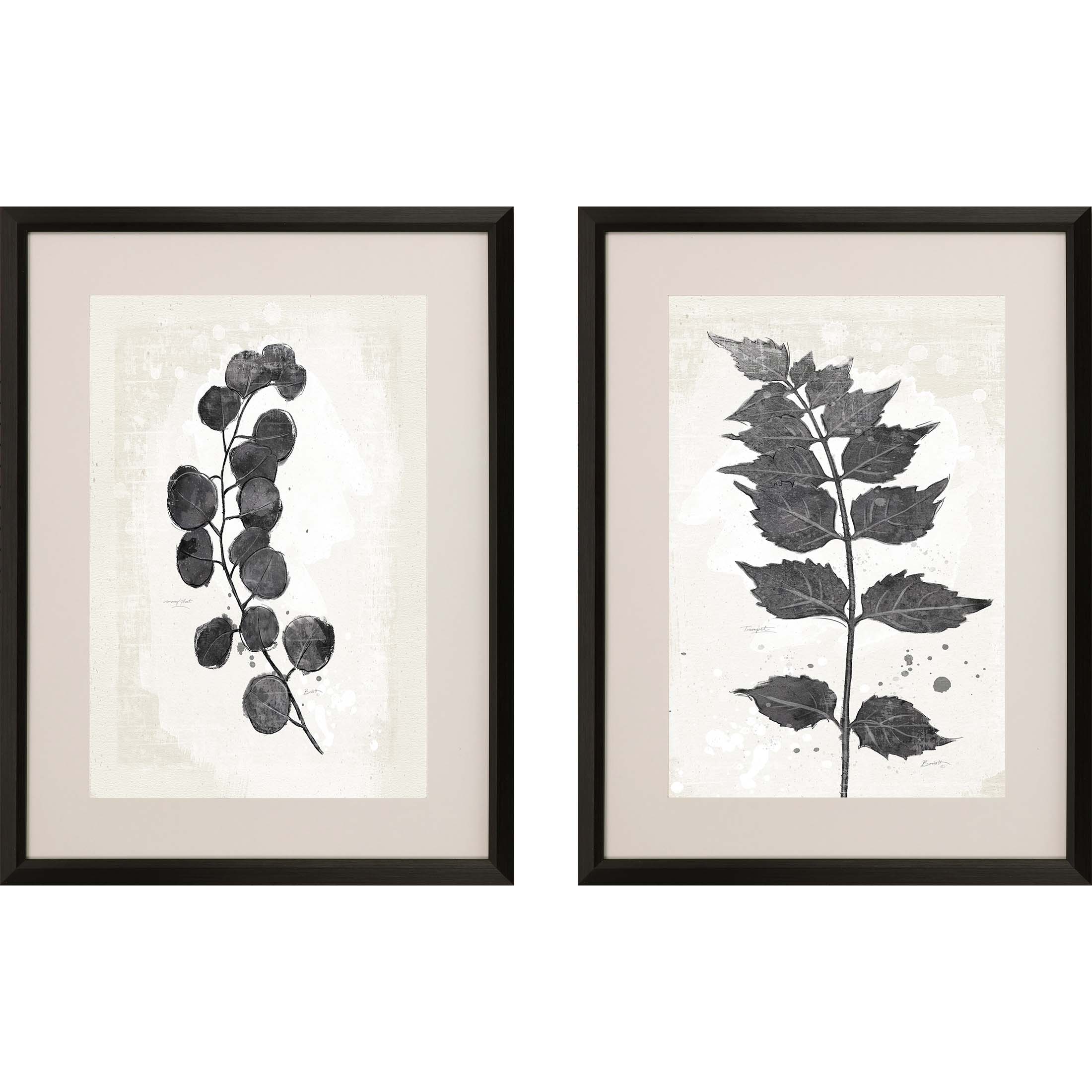 Paragon Wall Art Garden Vines I S/2 Black Transitional Florals Framed