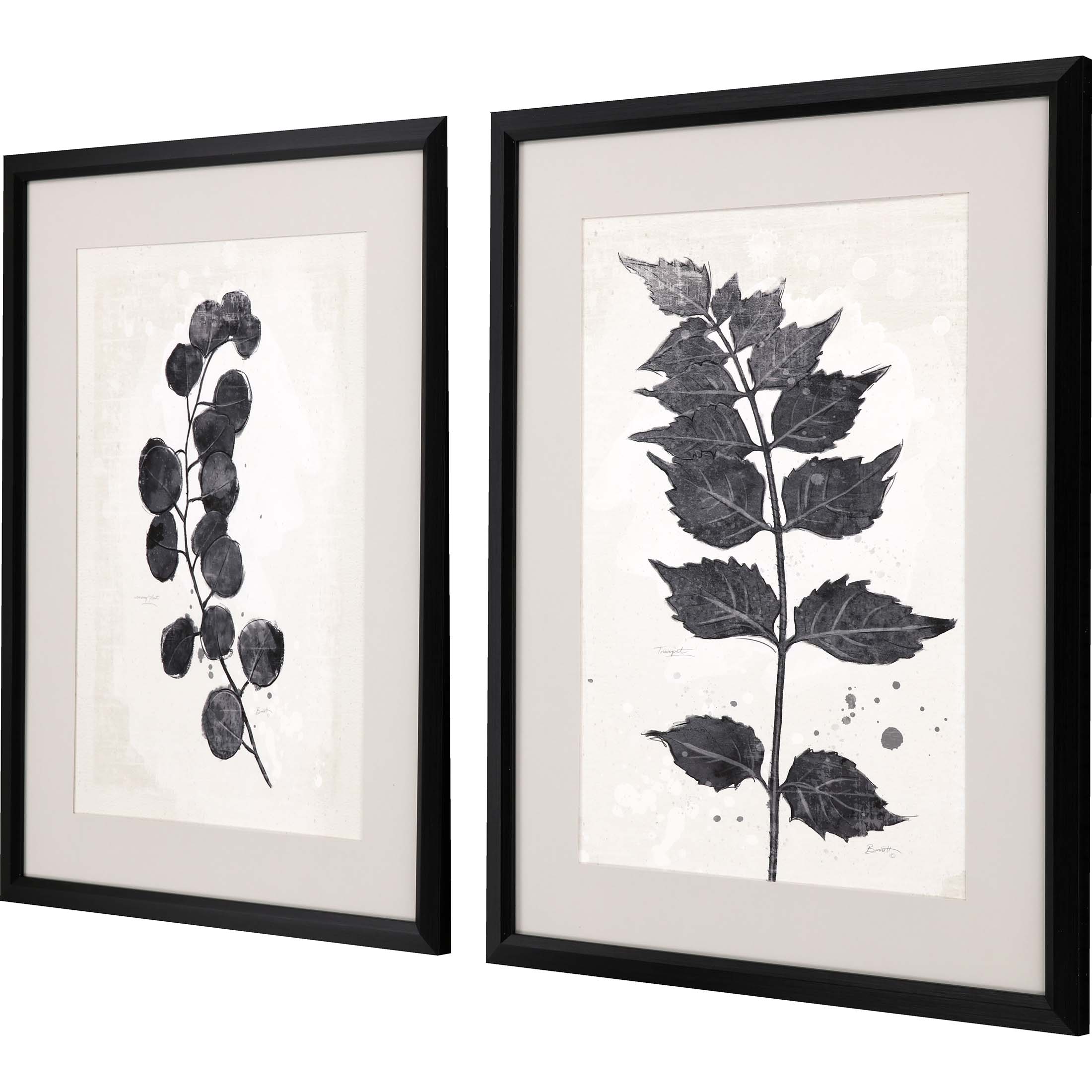 Paragon Wall Art Garden Vines I S/2 Black Transitional Florals Framed